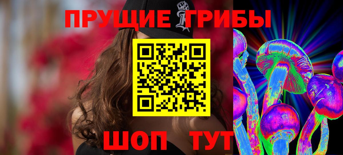 Псилоцибиновые грибы Psilocybine cubensis Кизляр