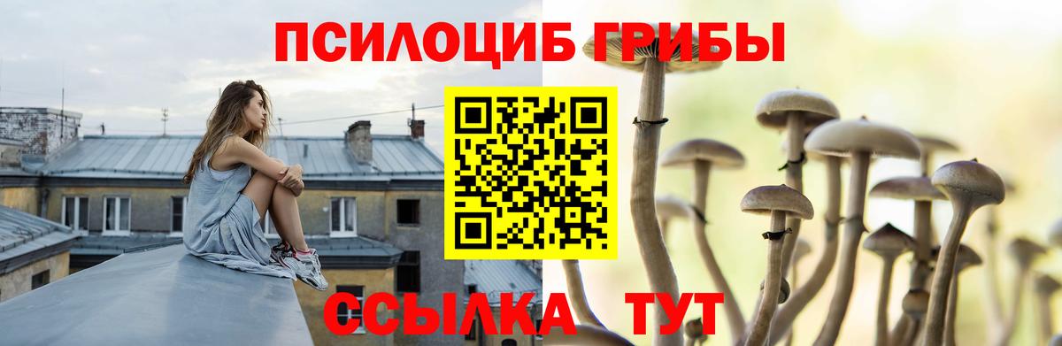 Кизляр  Галлюциногенные грибы мухоморы  Галлюциногенные грибы мухоморы  Вход с VPN 
